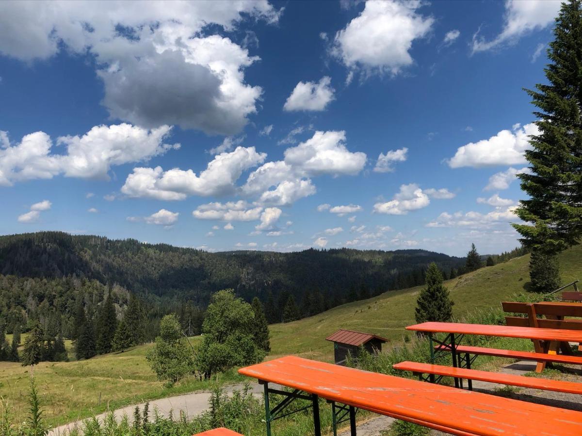 Schwarzwald Landhaus Leonore: Alpine View Ground Floor with Garden Terrace Apartment Uehlingen-Birkendorf Exterior photo